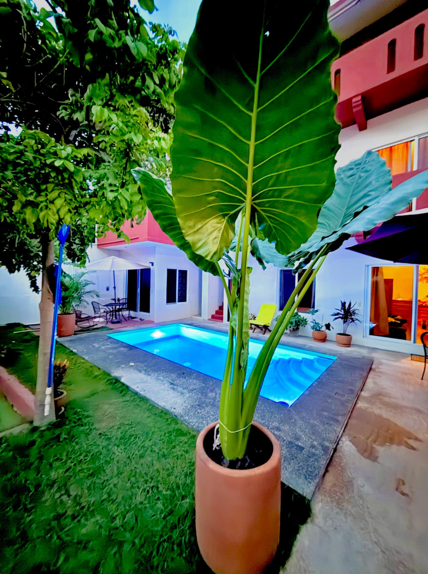 Pool courtyard at Punta Ox Ha at dusk, lit through tropical plants